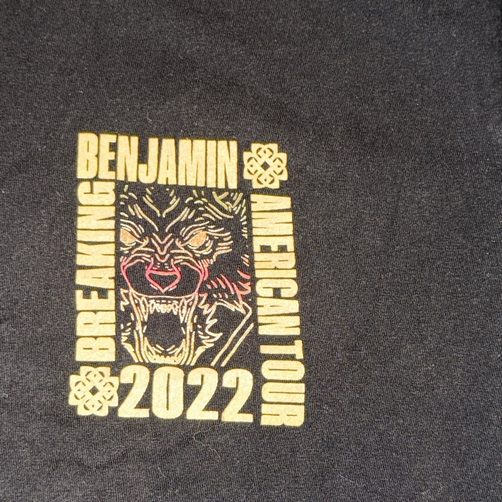 Breaking Benjamin large women men tshirt tee shirt  Graphic Tultex tour band t - Picture 3 of 8